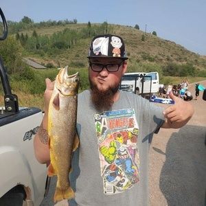 Meet your Posher, Trevor